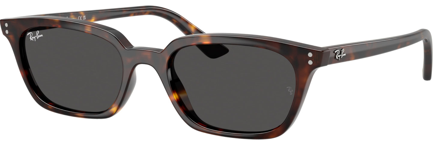 Ray Ban - Zaya Carey Gris