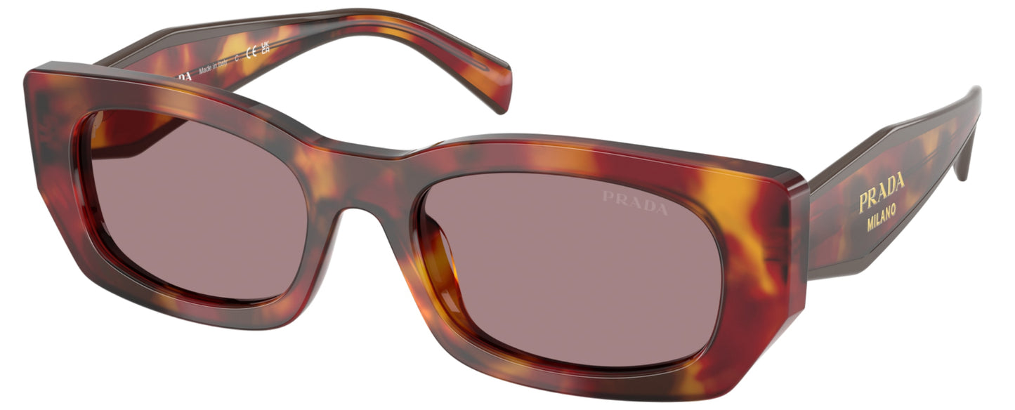 Prada - PRB05S Carey/Burgandy