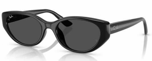 Ray Ban - RB4457D Black