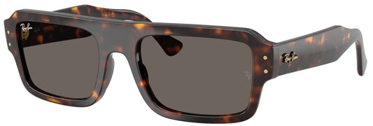 Ray Ban - Lukas Carey Gris