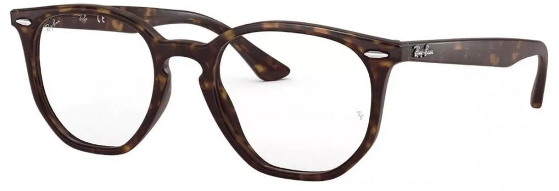 Ray Ban - New Hexagonal Carey Frames