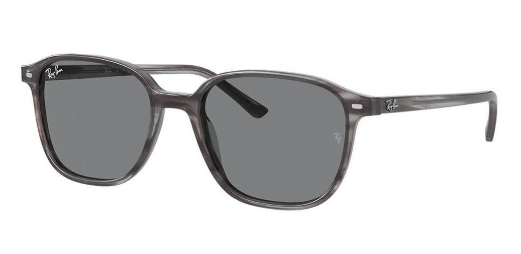 Ray Ban - Leonard Gris